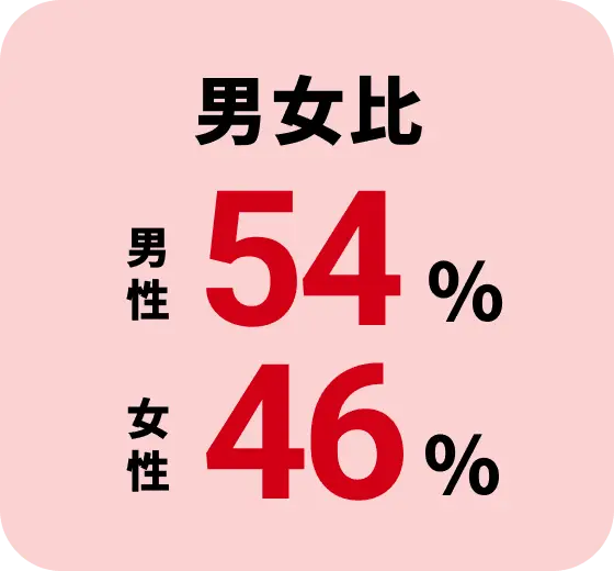 数字6