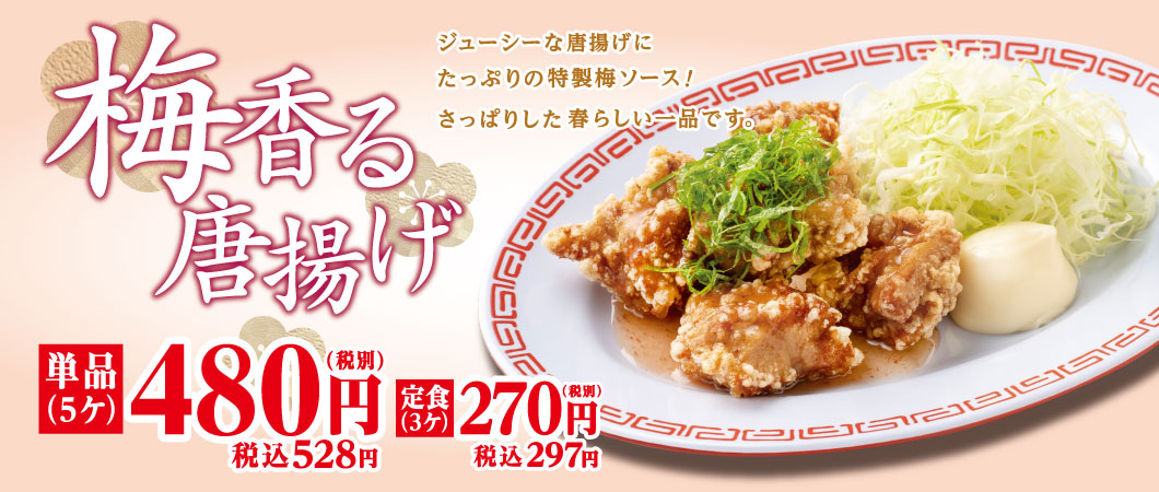 京都北白川 ラーメン 魁力屋 京都北白川 ラーメン 魁力屋